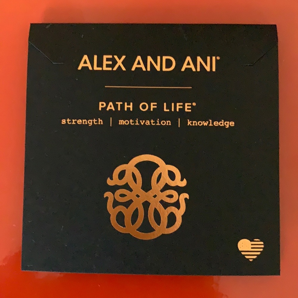 Alex and Ani bracelet